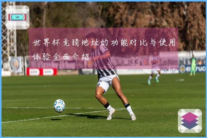 世界杯竞猜地址的功能对比与使用体验全面介绍