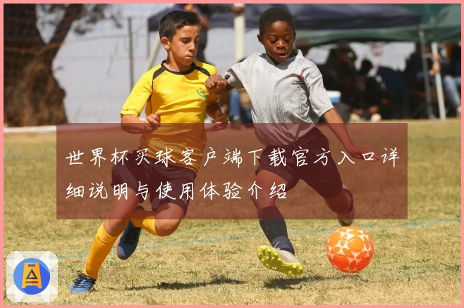 世界杯买球客户端下载官方入口详细说明与使用体验介绍