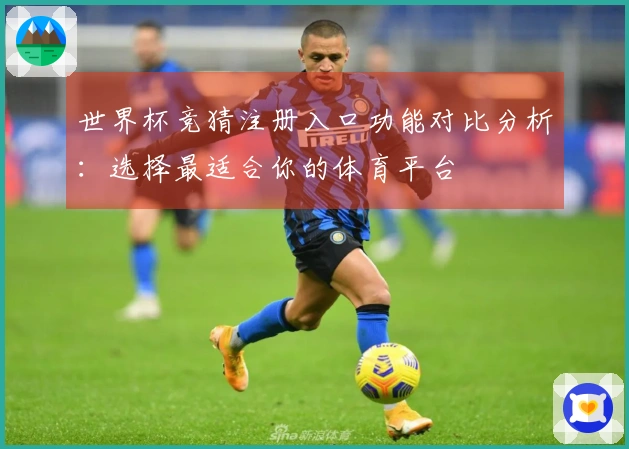 世界杯竞猜注册入口功能对比分析：选择最适合你的体育平台