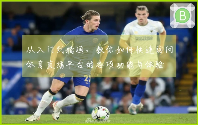 从入门到精通,教你如何快速访问体育直播平台的各项功能与体验