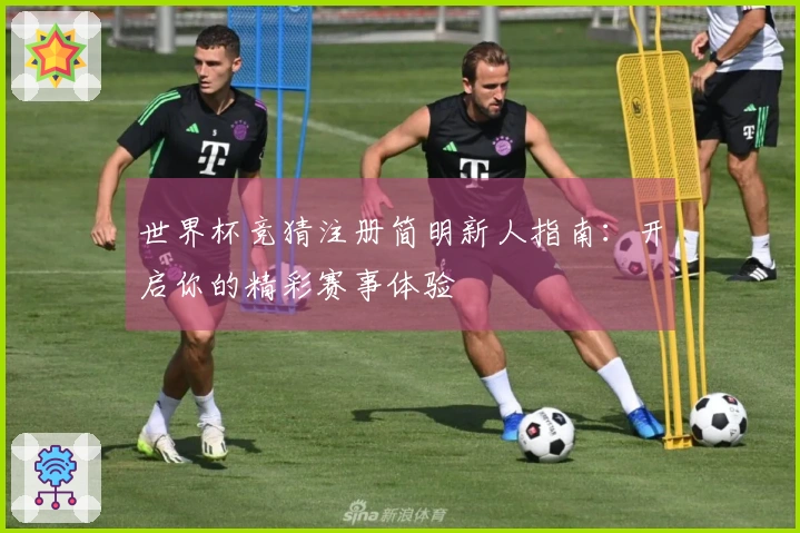 世界杯竞猜注册简明新人指南：开启你的精彩赛事体验
