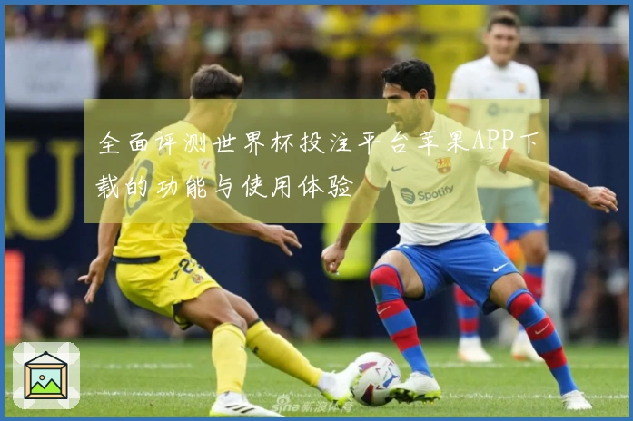 全面评测世界杯投注平台苹果APP下载的功能与使用体验