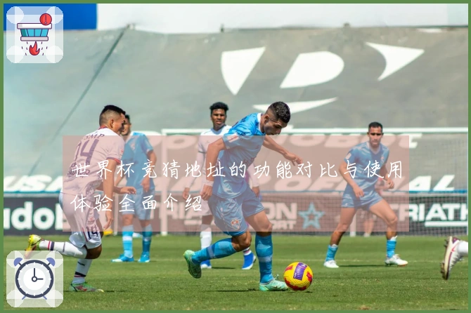 世界杯竞猜地址的功能对比与使用体验全面介绍