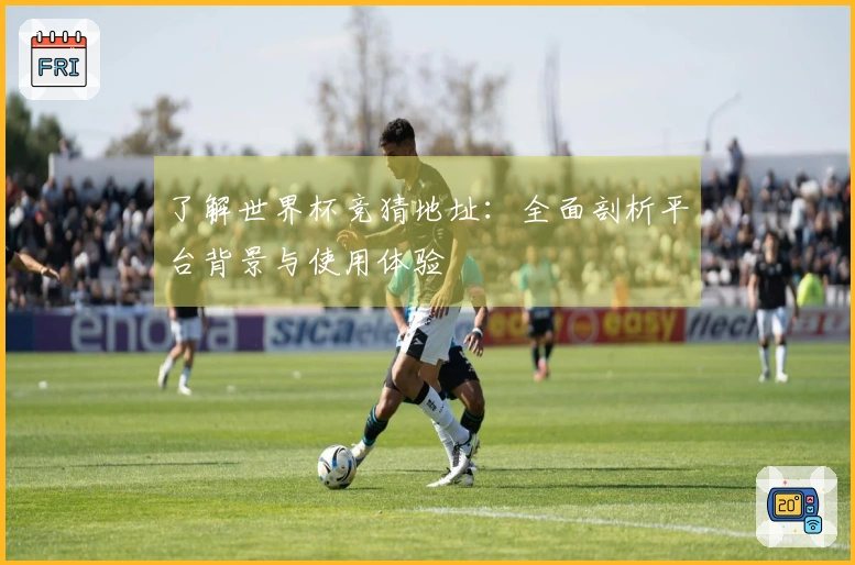 了解世界杯竞猜地址：全面剖析平台背景与使用体验