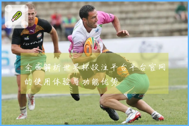 全面解析世界杯投注平台平台官网的使用体验与功能优势