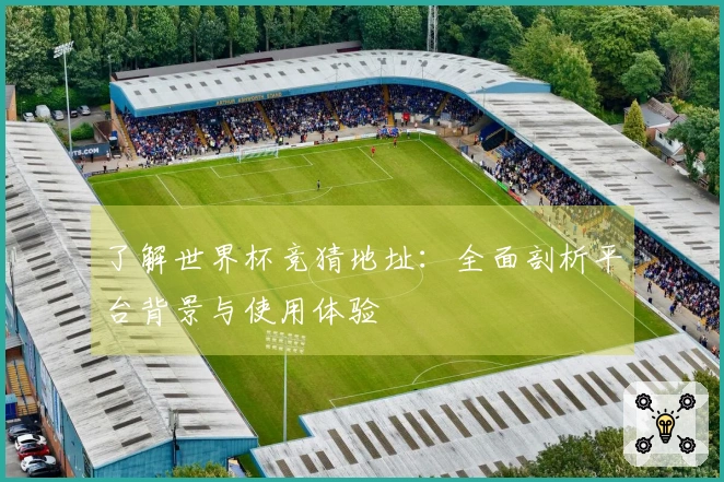 了解世界杯竞猜地址：全面剖析平台背景与使用体验