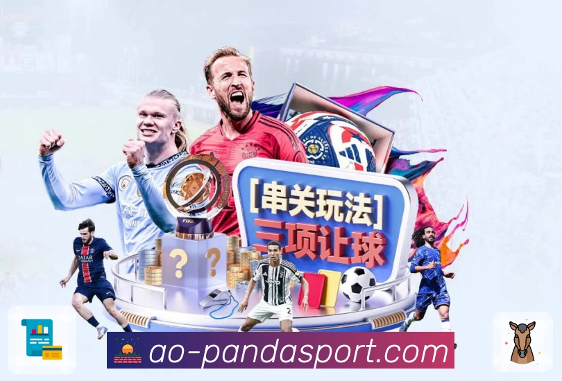 熊猫体育活动图